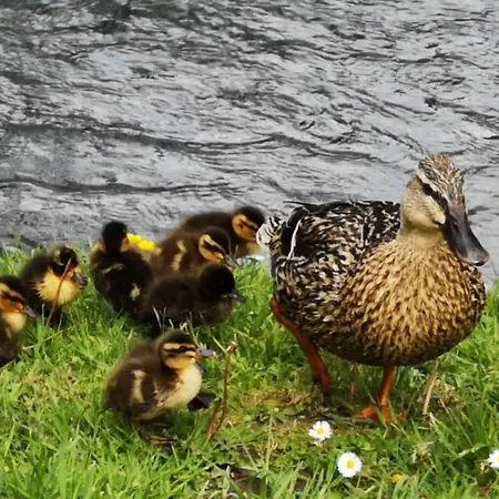 La Cour Du Puits, Colyn 3* Cormeilles (Eure)